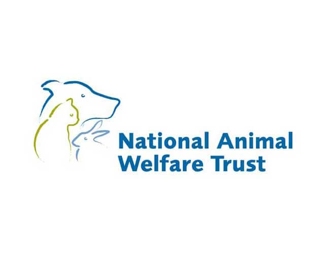 On the road with your dog - National Animal Welfare Trust Travel Survey -  K9 Whisperer